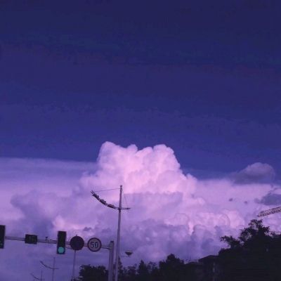 49图库资料免费大全资料澳门app下载截图